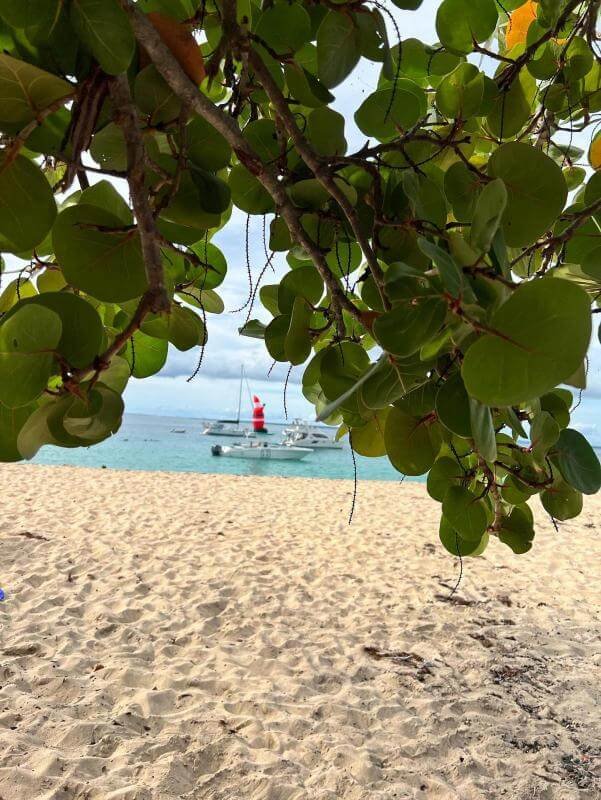 Saint Martin 24 - Epitop Pharmacie