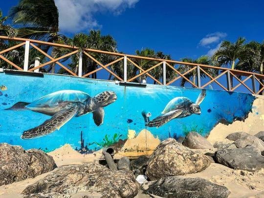 Saint Martin 20 - Epitop Pharmacie