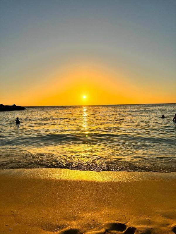 Saint Martin 19 - Epitop Pharmacie