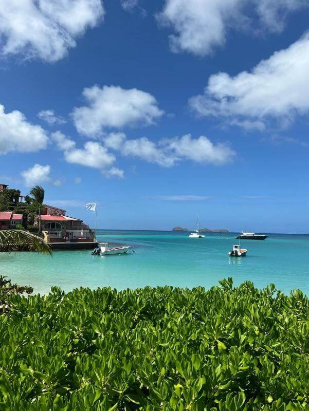 Saint Martin 13 - Epitop Pharmacie