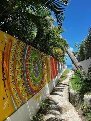 Saint Martin 10 - Epitop Pharmacie