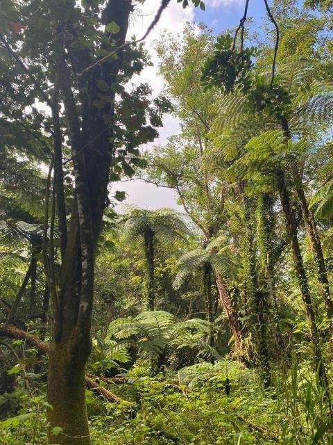 La réunion 12 - Epitop Pharmacie